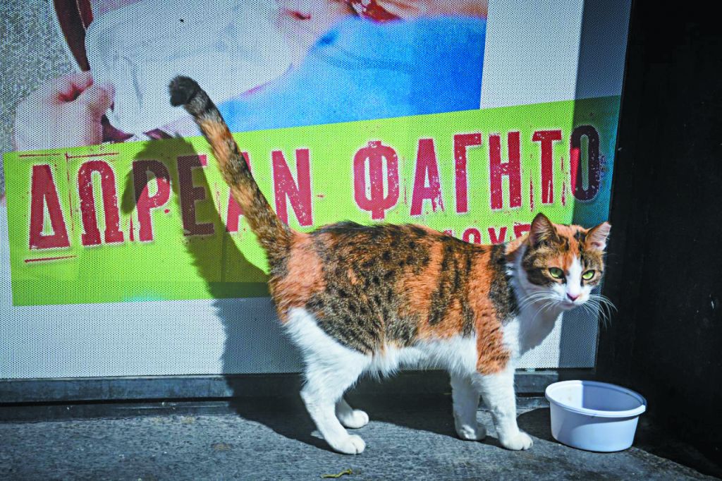 Ετοιμη η πρόταση για το «νέο Δουβλίνο»