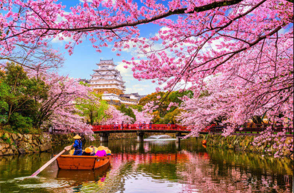 Οι κερασιές «ανθίζουν» τη σχέση Τρικάλων- Ιαπωνίας