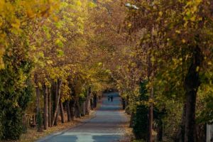 ΥΠΕΝ: Τι αλλάζει στη ζωή μας με το νέο περιβαλλοντικό νομοσχέδιο