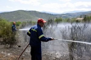 Συναγερμός στη Βοιωτία: Φωτιά στον Ορχομενό