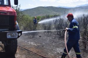 WWF: «Η φωτιά σε αφορά» –  Οσα πρέπει να γνωρίζουμε σε περίπτωση πυρκαγιάς