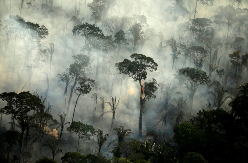 Αμαζόνιος: Το εκρηκτικό κοκτέιλ αποψίλωσης, πυρκαγιών και κοροναϊού απειλεί τη ζούγκλα
