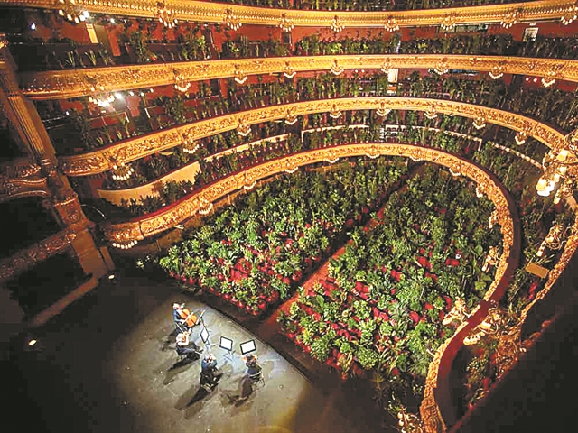 Αρσενικό και παλιά δαντέλα