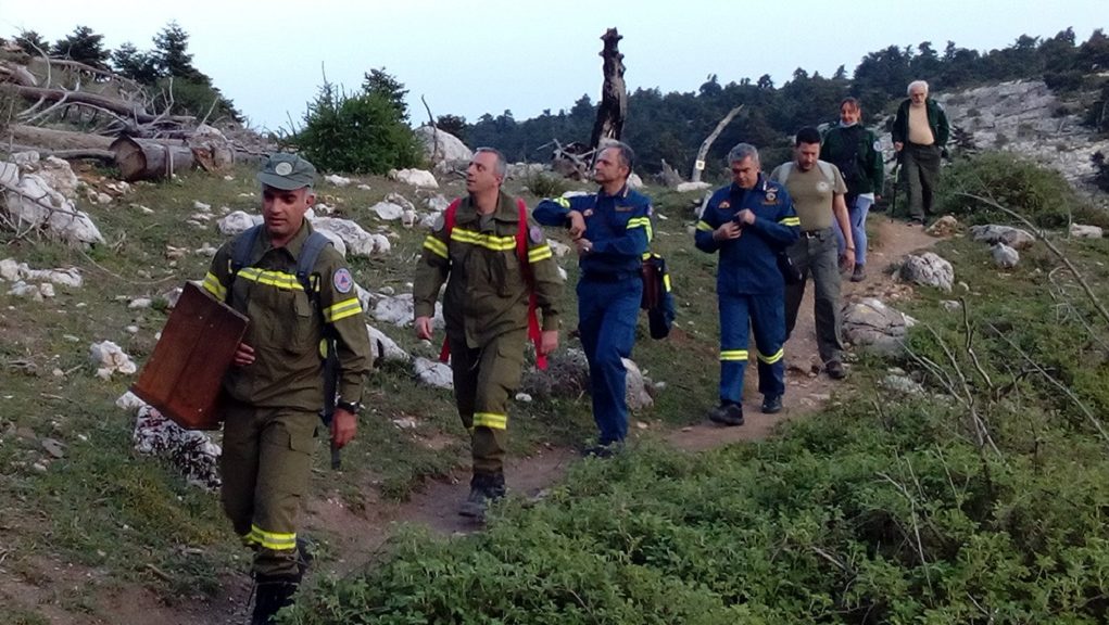 Ξεκινά την Παρασκευή 12 Ιουνίου η δασοπυροφύλαξη στην Πάρνηθα