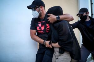 Επιστήμονες «ρίχνουν φως» στον ψυχισμό της δράστιδος