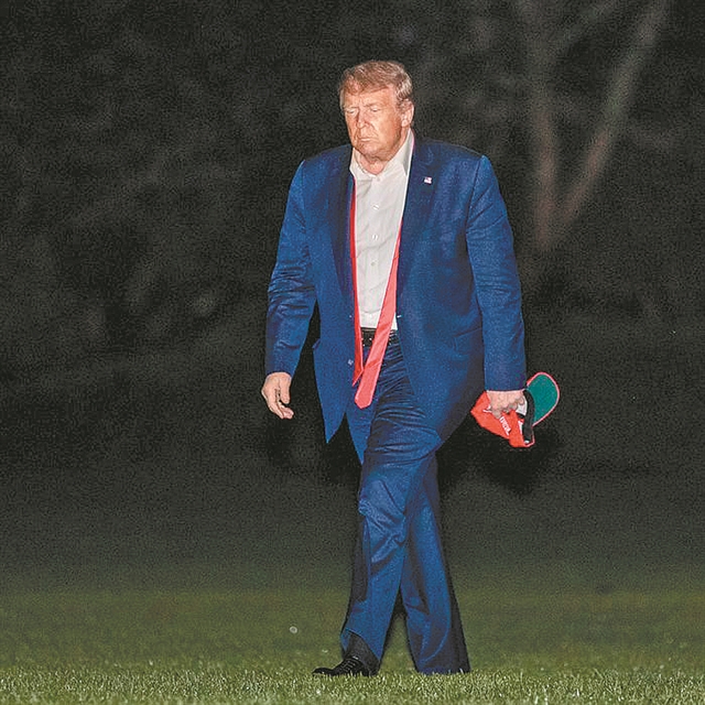 Ο σκύλος και ο γάμος