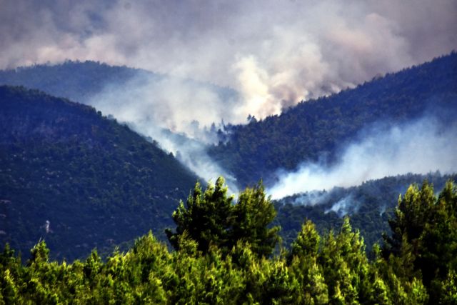 Για τρίτη μέρα καίει η φωτιά στις Κεχριές – Συνεχείς αναζωπυρώσεις σε διάσπαρτες εστίες