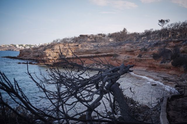 Μάτι: Το παιχνίδι Ματθαιόπουλου και το άγνωστο παρασκήνιο του «σκανδάλου της Πυροσβεστικής»