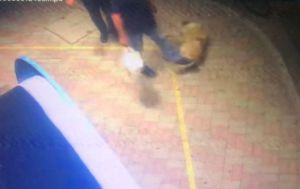 Κομοτηνή: Πρόστιμο 30.000 ευρώ σε άνδρα που κλώτσησε αναίτια σκύλο