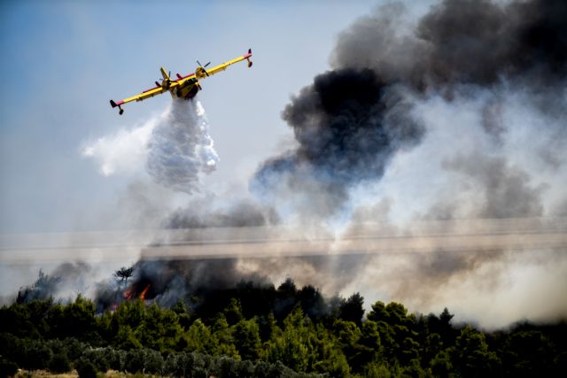 Πώς μια πυρκαγιά επηρεάζει τον καιρό –  Καρέ καρέ η δημιουργία του νέφους pyrocumulus στις Κεχριές