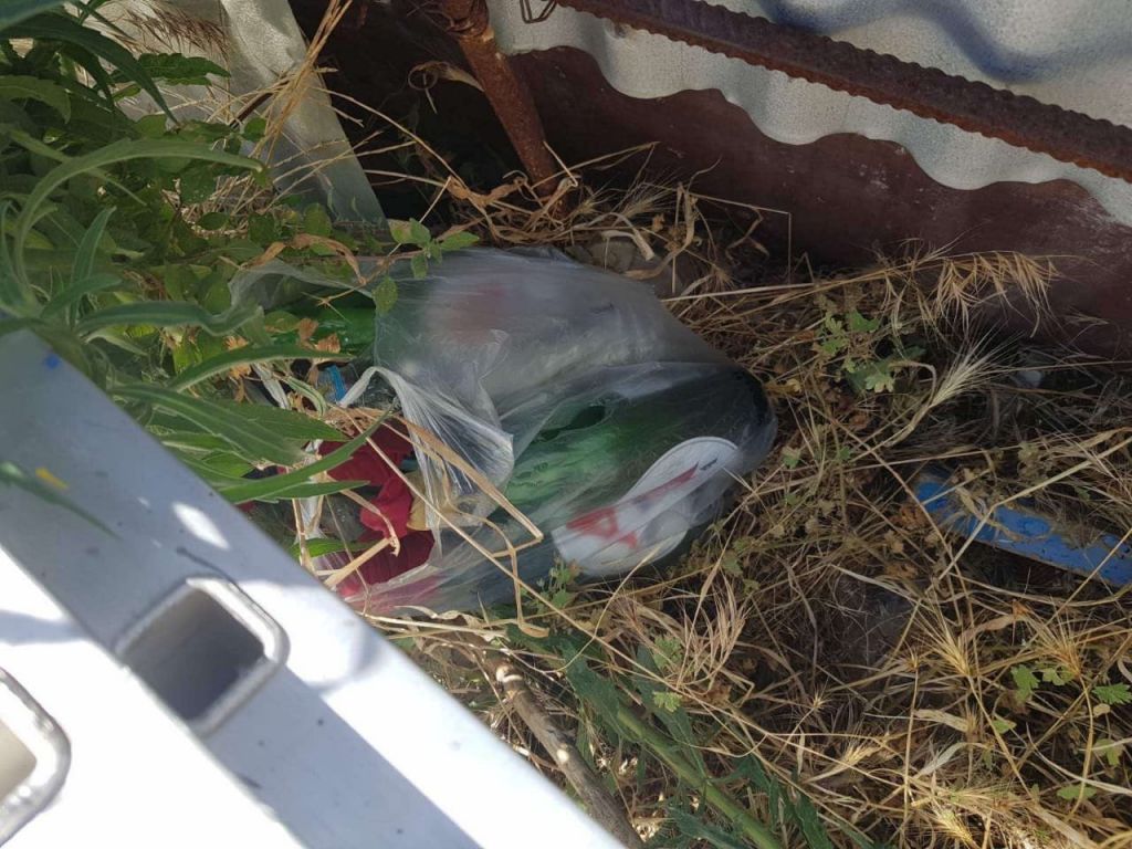 Μολότοφ και ξύλινα ρόπαλα έξω από το γήπεδο της ΑΕΚ