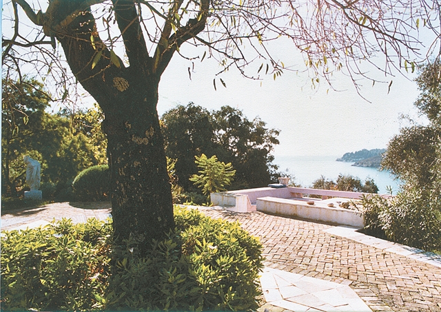 Από τις αμυγδαλιές της Πλάκας στις κερασιές Ρότσιλντ – Καμίλα