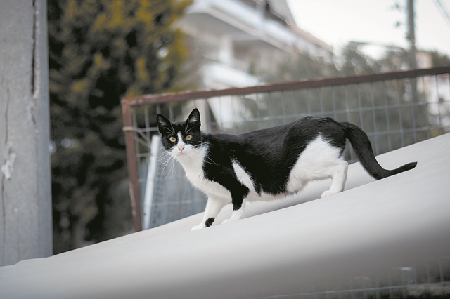 Μαζί με τους Οσκαρ και Ζορντί