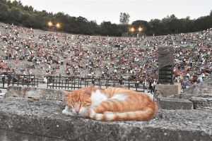 Φεστιβάλ νέας εποχής;