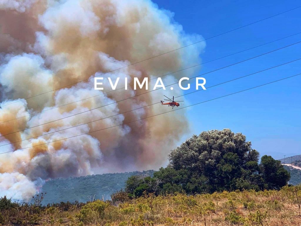 Εύβοια : Ανεξέλεγκτη η δασική φωτιά στους Ραπταίους – Κατευθύνεται προς οικισμό