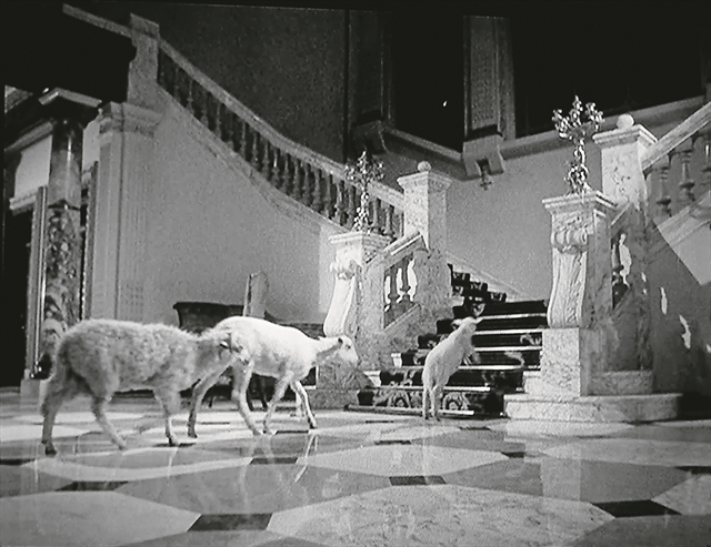 Οταν σκάνε οι μπουρμπουλήθρες