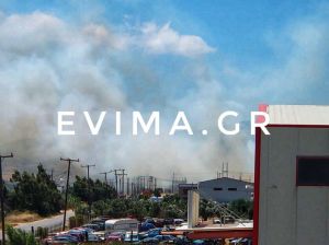 Φωτιά και στον Κάμπο Καρύστου