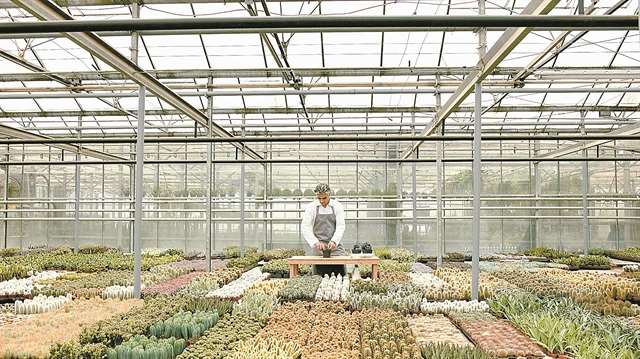 «Roller coaster συναισθημάτων που βιώσαμε στην καραντίνα»