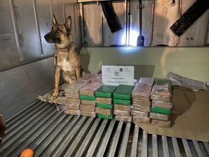 ΑΑΔΕ – Τμήμα Δίωξης Λαθρεμπορίου: Μεγάλο φορτίο κοκαΐνης έκρυβαν κοντέινερ με μπανάνες