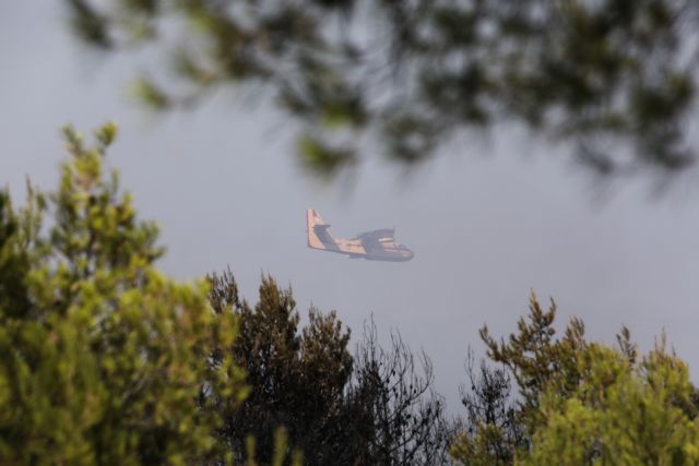 Μεγάλη φωτιά καίει δασική έκταση στη Μυτιλήνη