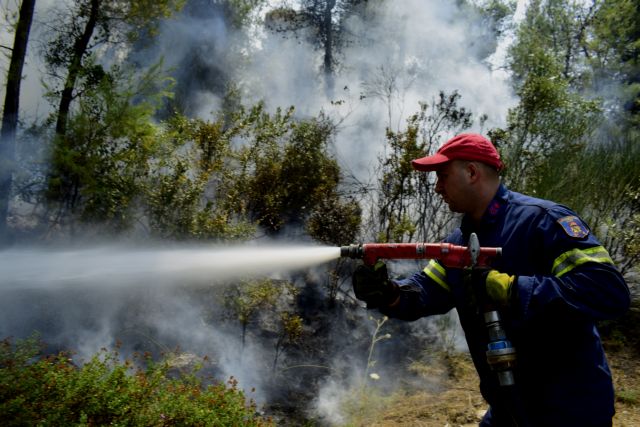 Πυρκαγιά σε δασική έκταση στο Πόρτο Γερμενό