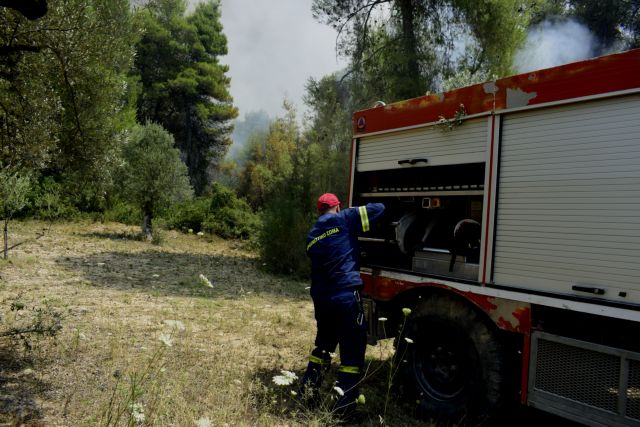 Υπό μερικό έλεγχο η πυρκαγιά στο Πόρτο Γερμενό