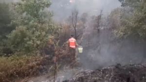 Υπό έλεγχο η μεγάλη πυρκαγιά που μαινόταν στην κεντρική Πορτογαλία