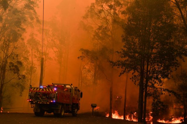Τεράστια καταστροφή για την πανίδα της Αυστραλίας από τις φωτιές: Τρία δισεκατομμύρια ζώα επηρεάστηκαν