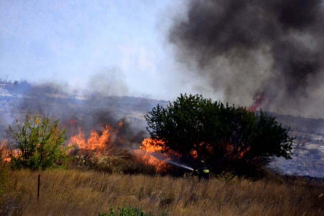 Σε 51 ανήλθαν οι δασικές πυρκαγιές το τελευταίο 24ωρο σε όλη την Ελλάδα