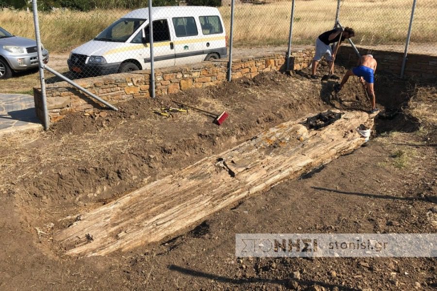 Ανακαλύφθηκε γιγαντιαίος απολιθωμένος κορμός οκτώ μέτρων στη Λήμνο