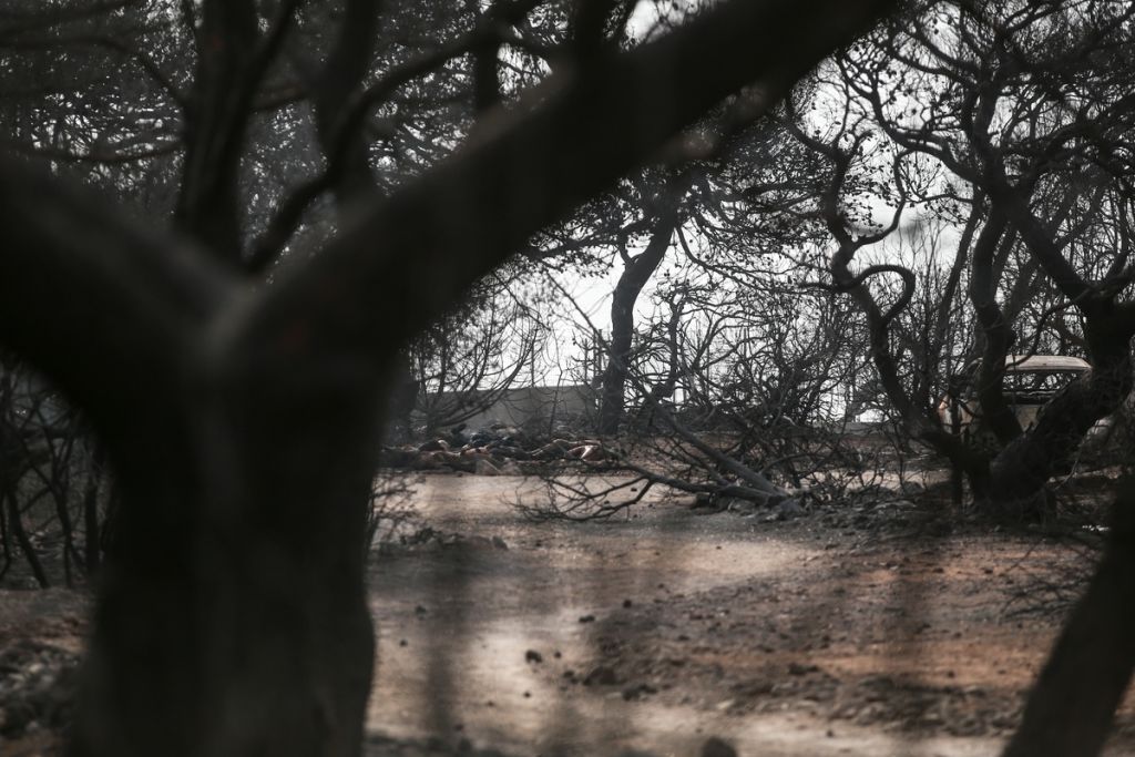 Απειλές, εκφοβισμός και εκβιασμός – Οι τρεις συγκλονιστικές καταθέσεις του Λιότσιου
