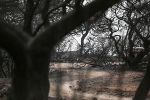 Απειλές, εκφοβισμός και εκβιασμός – Οι τρεις συγκλονιστικές καταθέσεις του Λιότσιου