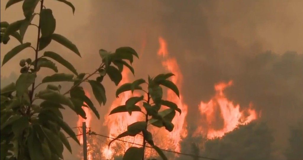 Φωτιά στην Ωλένη Ηλείας – Μεγάλη κινητοποίηση της Πυροσβεστικής