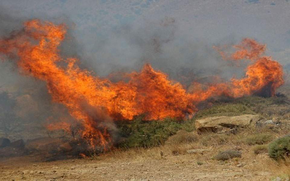 Ωραιόκαστρο: Φωτιά κοντά στον οικισμό Γαλήνη - ΤΑ ΝΕΑ