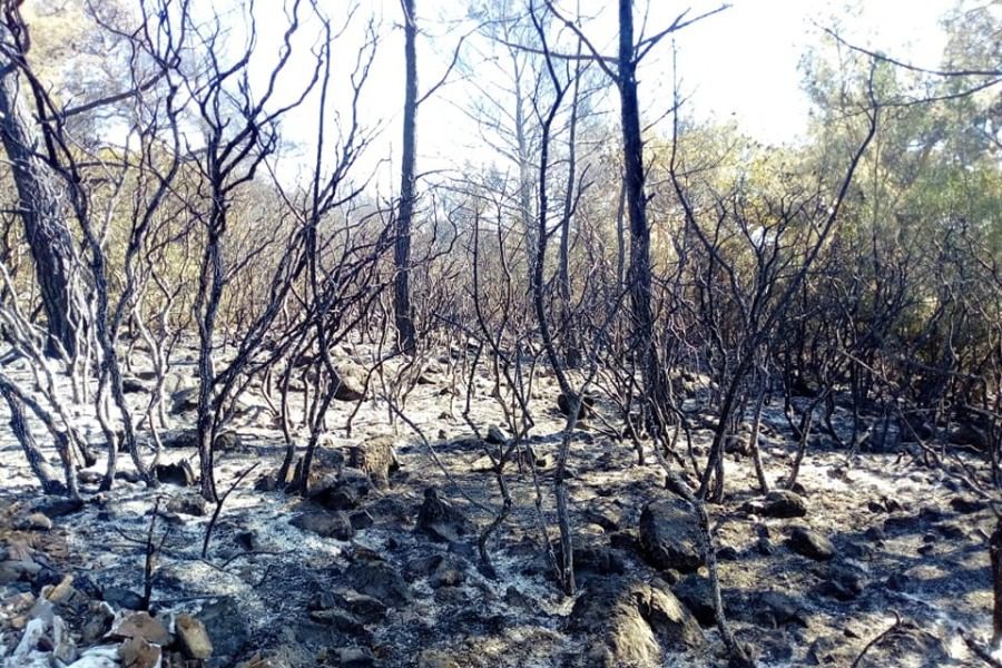 Λέσβος: Μαίνεται για δεύτερη μέρα η πυρκαγιά στα βουνά της Θερμής – Τραυματίστηκε πυροσβέστης