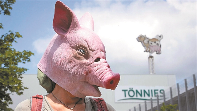 Εποχικοί εργάτες που έγιναν ακούσια «πειραματόζωα»