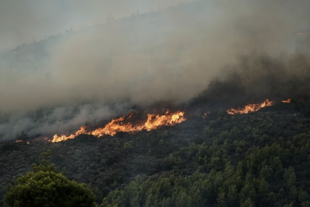 Συναγερμός στην Πυροσβεστική – Πυρκαγιά στη Ράχη Αχαΐας