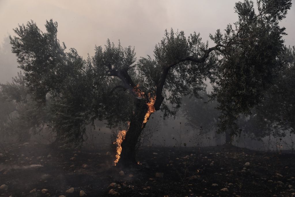 Κεχριές: Σε ύφεση η φωτιά μετά από δύο μέρες μάχης με τις φλόγες