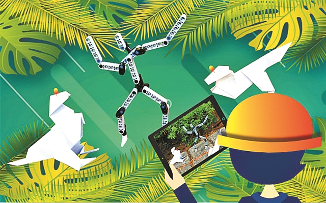 Κυνήγι θησαυρού, παραμύθι, έκθεση, summer camp