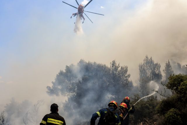 Μεγάλη φωτιά στην Ηλεία