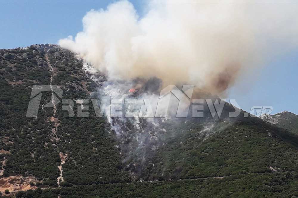Φωτιά σε βουνό στην Πρέβεζα