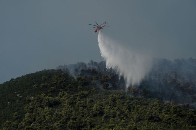 Μάχη με τις φλόγες σε Κεχριές και Αρχαία Ολυμπία