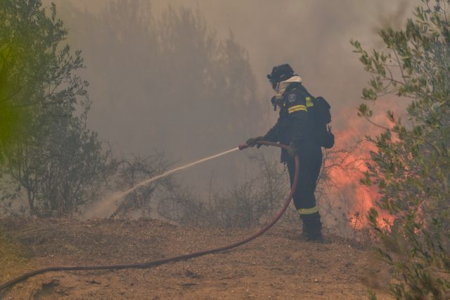 Σε ύφεση βρίσκεται η φωτιά στην Κεφαλονιά – Δύο πύρινα μέτωπα στην Ηλεία