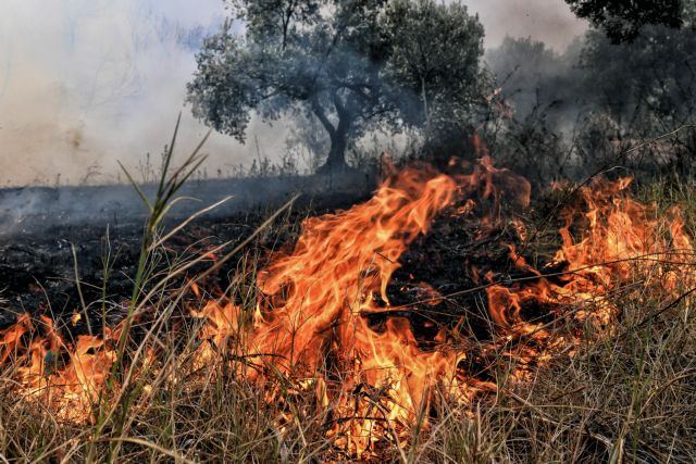 Φωτιά καίει ξερά χόρτα στη Σταμάτα