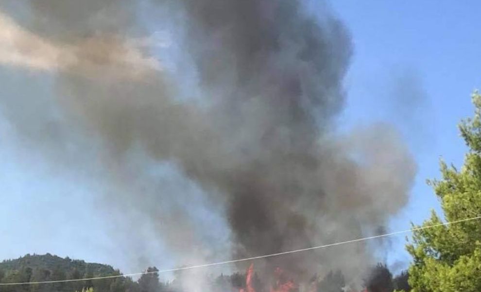 Μεγάλη φωτιά σε δασική έκταση στις Ροβιές Ευβοίας
