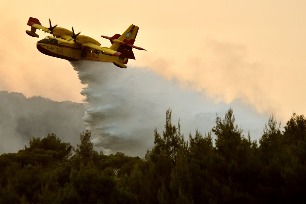 Πυρκαγιά σε δασική περιοχή της Κέρκυρας