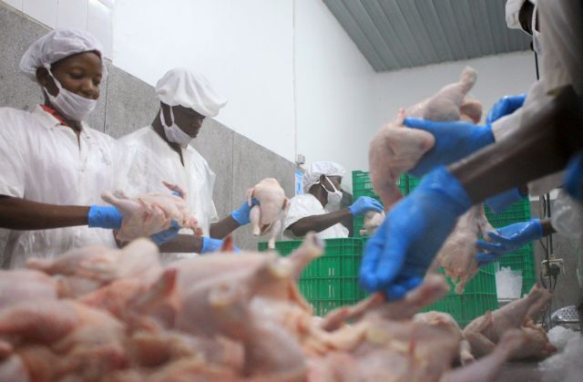 Εντοπίστηκε σε φτερούγες κοτόπουλου που εισήχθησαν από την Βραζιλία