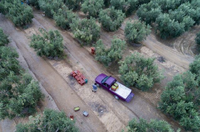 Σχέδιο επενδύσεων 500.000 ευρώ στην πρωτογενή παραγωγή