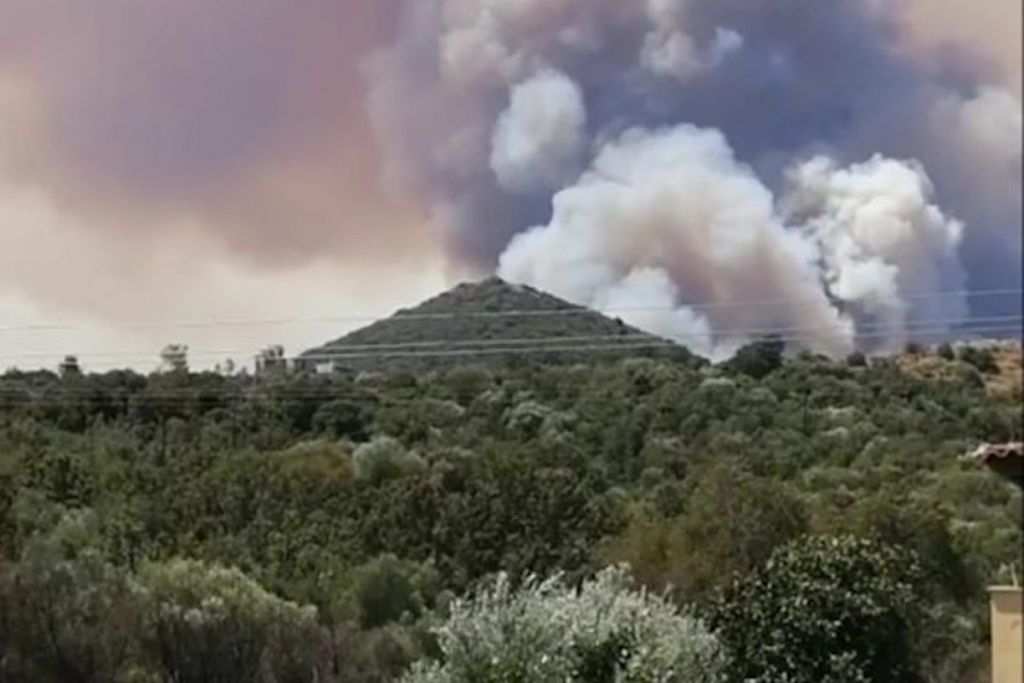 Μάνη : Χιλιάδες στρέμματα δάσους χάθηκαν – Συνεχίζεται η μάχη με τις φλόγες