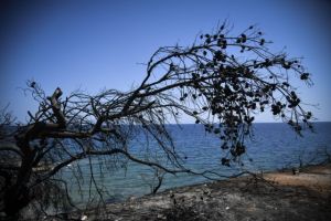 Μάτι: Δεύτερο «όχι» στο αίτημα να μετατραπούν σε κακούργημα οι κατηγορίες